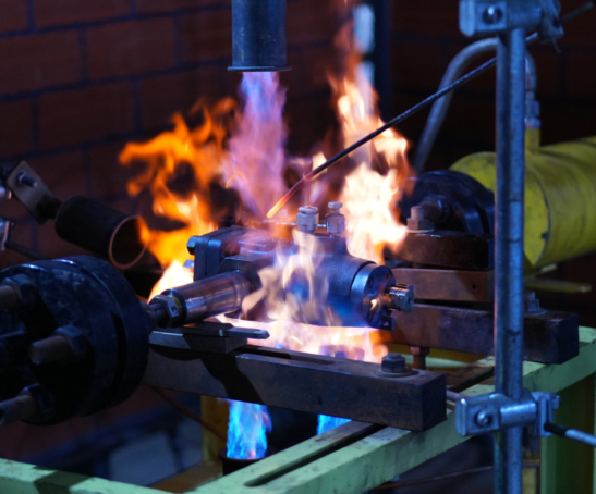 Adobe Express - file