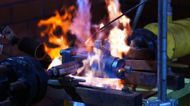 Adobe Express - file