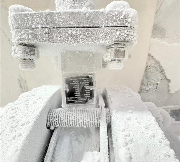 WhatsApp Image 2026-01-28 at 6.01.04 PM